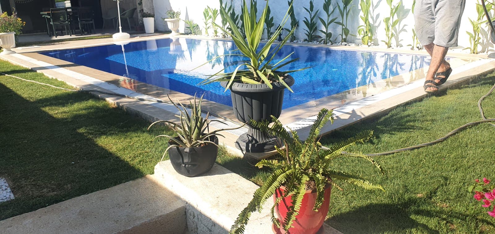 Alaçatı Çarşı Yakınında Sezonluk Kiralık Cumbalı 3+1 Havuzlu Villa, Alaçatı